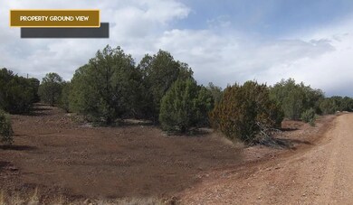 8347 Juniper Dr, Show Low, AZ 85901 - photo 3