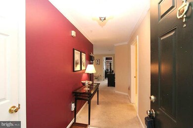 135 Timberbrook Ln unit 203, Gaithersburg, MD 20878 - photo 4