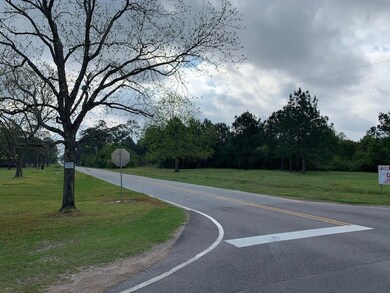 0 Mcmillan Rd, Ochlocknee, GA 31773 - photo 3