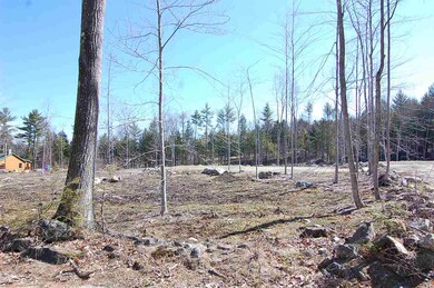 3 Waldron Hill Rd, Warner, NH 03278 - photo 2