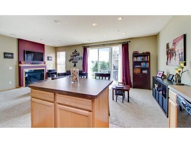 2607 136th St W, Rosemount, MN 55068 - photo 5