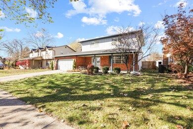 48-web-or-mls-0D3A9442