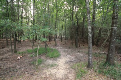 3 Deer Lodge Rd, Magnolia, TX 77354 - photo 7