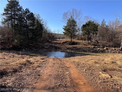 47760 Conser Creek Rd, Heavener, OK 74937 - photo 5