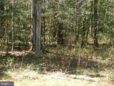 0 Birch Ln unit 1000408397, Colonial Beach, VA 22443 - photo 6