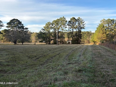 824 Ratliff Ferry Rd, Canton, MS 39046 - photo 4