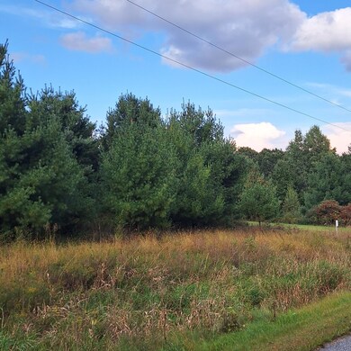 1175 207th Pic 5.jpg