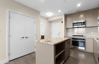 Mosaic on the Riverway unit 1007, Boston, MA 02115 - photo 7