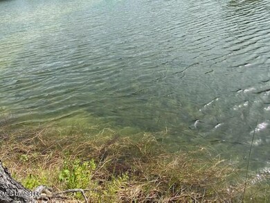 0 Bayou Lacroix Rd unit 4001431, Bay Saint Louis, MS 39520 - photo 2