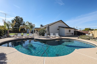 Sprawling & Fun Backyard 