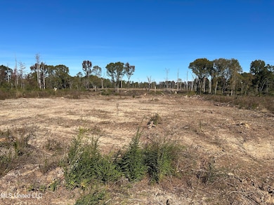 0 Warren Cook Rd, Mendenhall, MS 39114 - photo 3