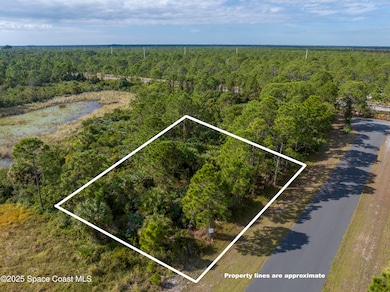 Property oulined photos3