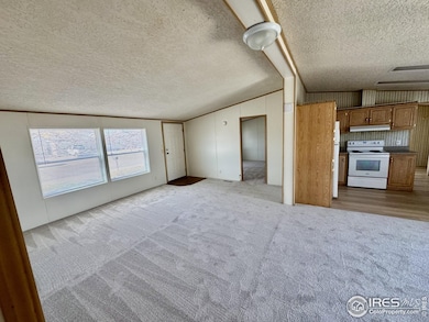 Living Room & Kitchen