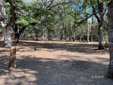 51 Oliva Dr, Hayfork, CA 96041 - photo 2