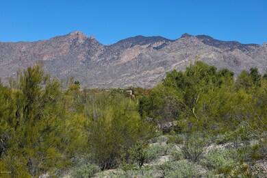 IMG_5017