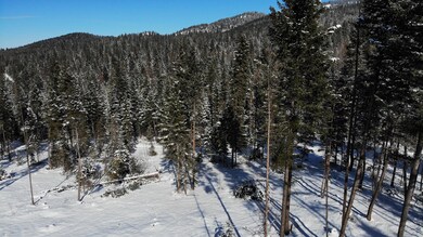 1050 Spring Hill Rd, Kila, MT 59920 - photo 3