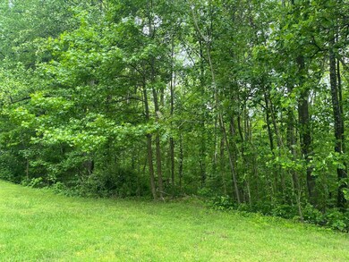 0 Plumley Summit Rd unit 11495050, Landrum, SC 29356 - photo 5