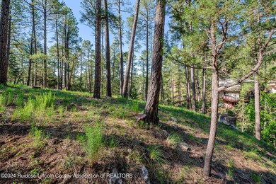 321 Hemlock Cir 5