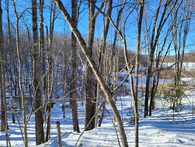 11 Symmes Dr, Newfield, ME 04095 - photo 6