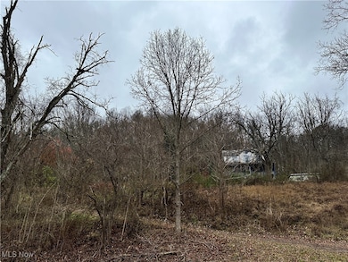 2305 Ohio 145, Lower Salem, OH 45745 - photo 2