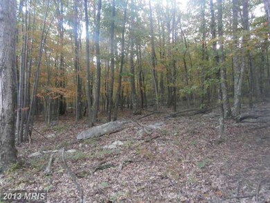 0 Roberts Ln unit 1003733060, Great Cacapon, WV 25422 - photo 4