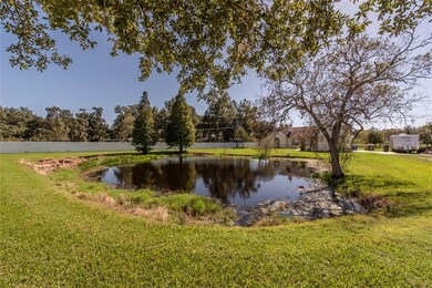 9919 E Sligh Ave, Tampa, FL 33610 - photo 4