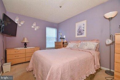 14053 Vista Dr unit 147C, Laurel, MD 20707 - photo 3