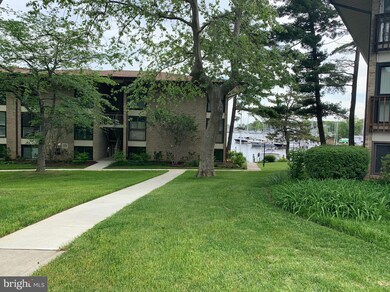 768 Fairview Ave unit E, Annapolis, MD 21403 - photo 3