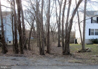 811 Tritapoe Dr, Knoxville, MD 21758 - photo 4