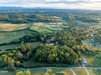 645 Elmwood Rd, Midway, TN 37809 - photo 7