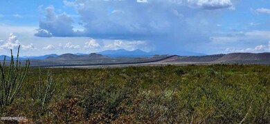 TBD E Beech Craft Blvd, Bisbee, AZ 85603 - photo 4