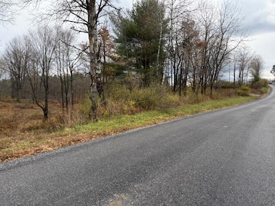 0 Woodbury Rd, Washington Township, PA 15824 - photo 2