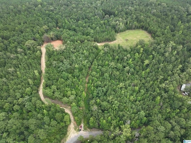 2718 Old Woodstock Rd, West Blocton, AL 35184 - photo 7