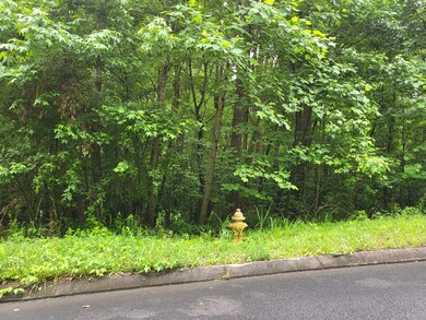Lot 17 Loblolly Lane