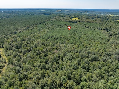 00 Mississippi 588, Collins, MS 39428 - photo 3