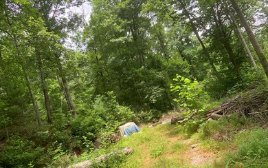 Additional View