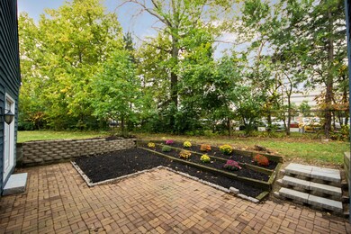 Lavish Back patio