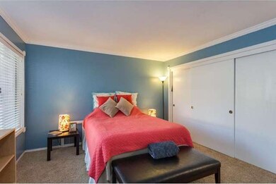 Generous Master Bedroom with Huge Wardrobe Closet