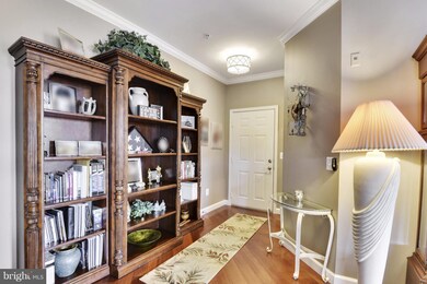 411 Hamlet Club Dr unit 307, Edgewater, MD 21037 - photo 3