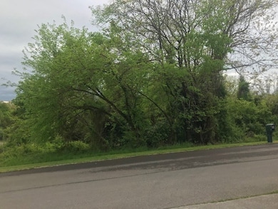 994 Pinewood Cir, Morristown, TN 37814 - photo 2