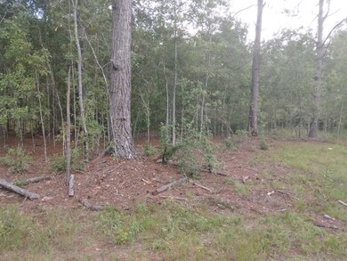 000 Oxley Blvd, Vidalia, GA 30474 - photo 6