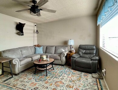 414 Scenic Dr, Alamogordo, NM 88310 - photo 4