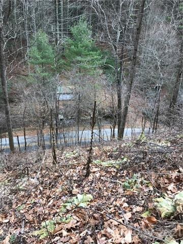 9999 Little Creek Rd, Burnsville, NC 28714 - photo 7