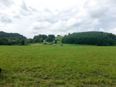 0 Old Galax Pike unit 7331697, Hillsville, VA 24343 - photo 4