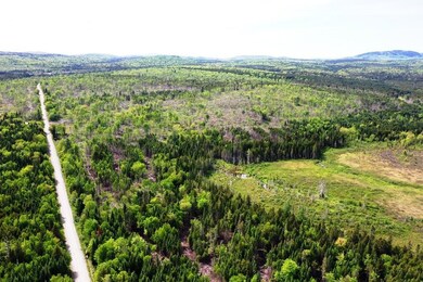 DJI_0463