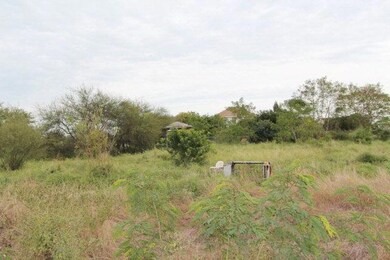 1010 Hawk St, Alamo, TX 78516 - photo 4