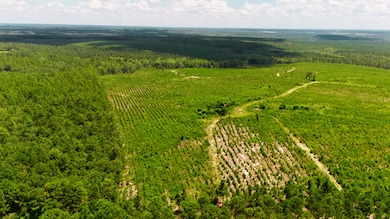 Lot 1 3 Notch Rd, Monetta, SC 29105 - photo 5