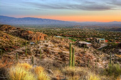 Desert Landscape