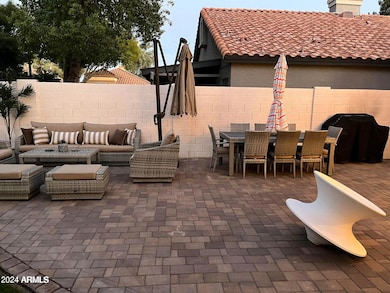 Gorgeous back yard