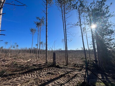 2555 W Thumb Lake Rd, Vanderbilt, MI 49795 - photo 6